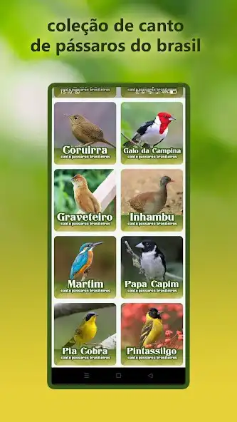 Play Canto Canario da Terra as an online game Canto Canario da Terra with UptoPlay