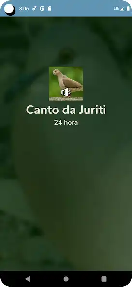 Play Canto da Juriti 24 hora and enjoy Canto da Juriti 24 hora with UptoPlay Play Canto da Juriti 24 hora and enjoy Canto da Juriti 24 hora with UptoPlay