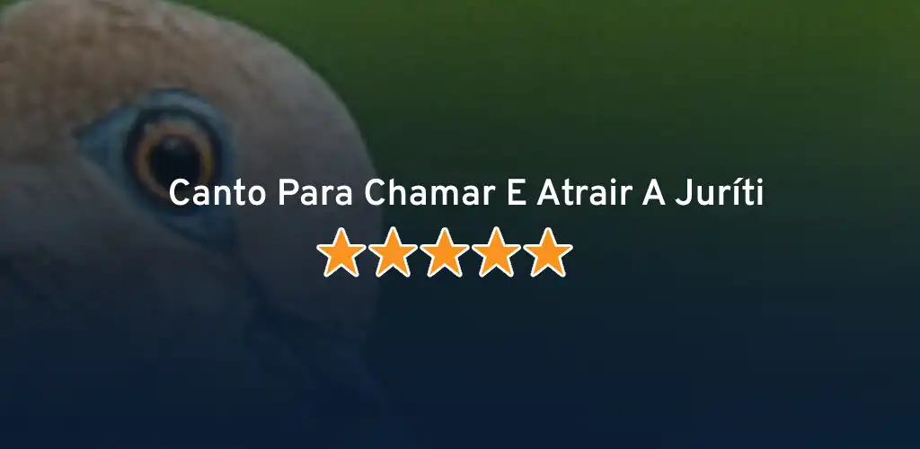 Play Canto Da Juriti Pupu  and enjoy Canto Da Juriti Pupu with UptoPlay