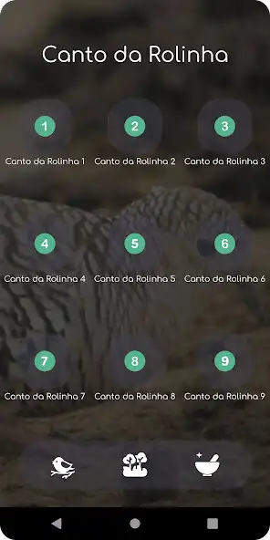 Play Canto Da Rolinha Fogo Pagou and enjoy Canto Da Rolinha Fogo Pagou with UptoPlay Play Canto Da Rolinha Fogo Pagou and enjoy Canto Da Rolinha Fogo Pagou with UptoPlay
