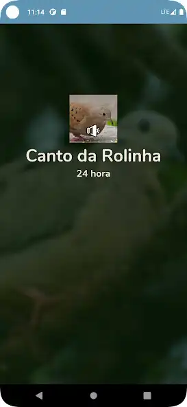Play Canto da Rolinha and enjoy Canto da Rolinha with UptoPlay Play Canto da Rolinha and enjoy Canto da Rolinha with UptoPlay