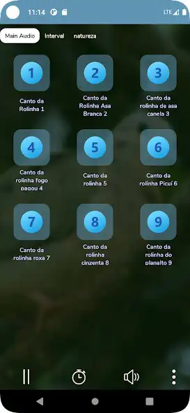 Play Canto da Rolinha as an online game online Canto da Rolinha with UptoPlay Play Canto da Rolinha as an online game Canto da Rolinha with UptoPlay