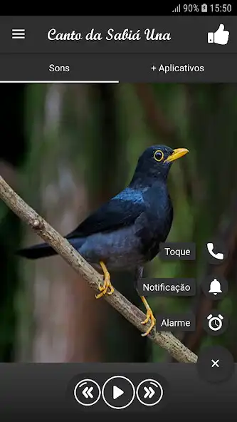 Play Canto da Sabiá Una as an online game Canto da Sabiá Una with UptoPlay