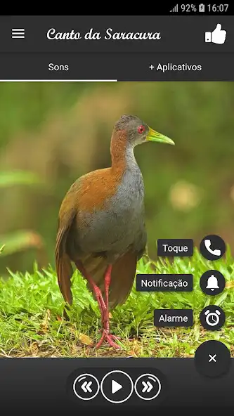 Play Canto da Saracura as an online game Canto da Saracura with UptoPlay