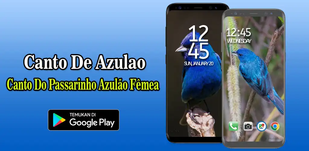 Play Canto De Azulao Parana  and enjoy Canto De Azulao Parana with UptoPlay
