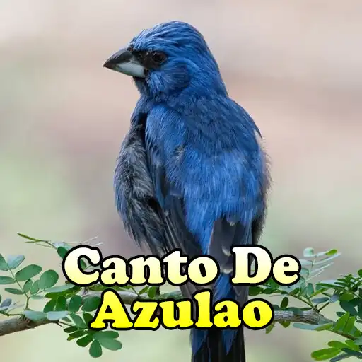 Play Canto De Azulao Parana as an online game Canto De Azulao Parana with UptoPlay