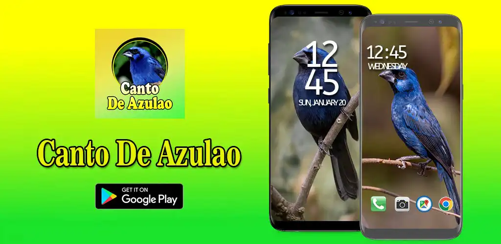 Play Canto De Azulao  and enjoy Canto De Azulao with UptoPlay