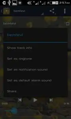 Play Canto de Bemtevi