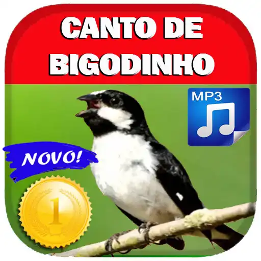 Play Canto De Bigodinho Sem Internet APK Play Canto De Bigodinho Sem Internet APK