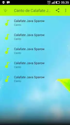 Play Canto de Calafate Java Sparow as an online game Canto de Calafate Java Sparow with UptoPlay
