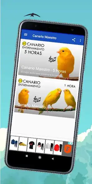 Play Canto de Canarios  and enjoy Canto de Canarios with UptoPlay