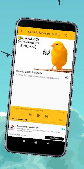 Play Canto de Canarios as an online game Canto de Canarios with UptoPlay