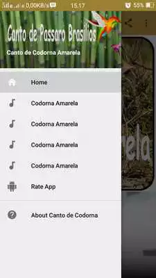 Play Canto de Codorna Amarela
