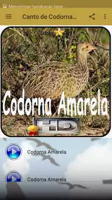 Play Canto de Codorna Amarela