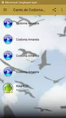 Play Canto de Codorna Amarela