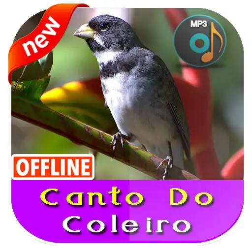 Play Canto De Coleiro APK Play Canto De Coleiro APK