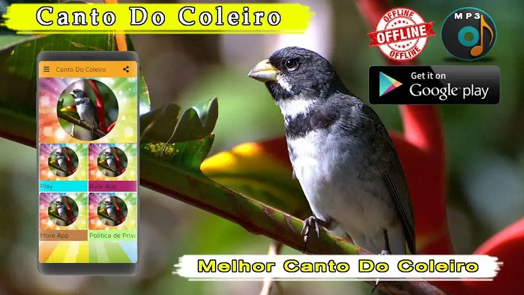 Play Canto De Coleiro as an online game Canto De Coleiro with UptoPlay