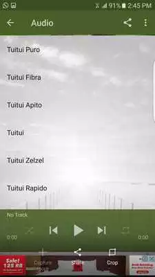 Play Canto de Coleiro Tui Tui Puro