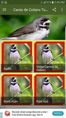 Play Canto de Coleiro Tui Tui Puro