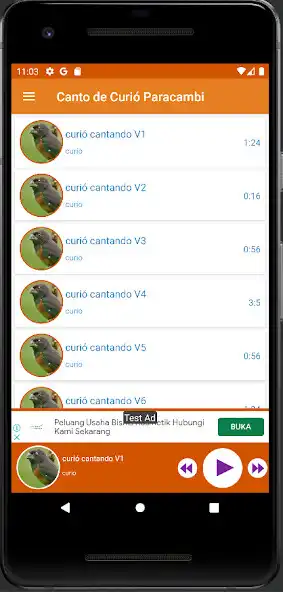Play canto de curió paracambi as an online game canto de curió paracambi with UptoPlay