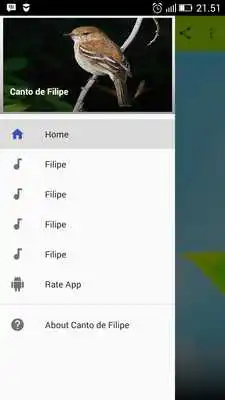 Play Canto de Filipe Play Canto de Filipe