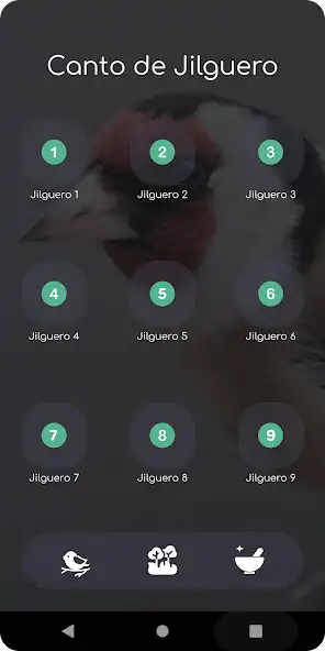 Play Canto de Jilguero Campero HD  and enjoy Canto de Jilguero Campero HD with UptoPlay