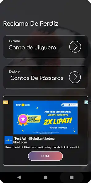 Play Canto de Jilguero Campero HD as an online game Canto de Jilguero Campero HD with UptoPlay