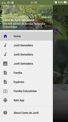 Play Canto de Juriti Gemedeira Play Canto de Juriti Gemedeira