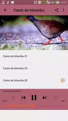 Play Canto De Lambu as an online game Canto De Lambu with UptoPlay