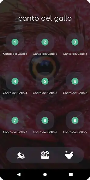 Play Canto Del Gallo and enjoy Canto Del Gallo with UptoPlay Play Canto Del Gallo and enjoy Canto Del Gallo with UptoPlay