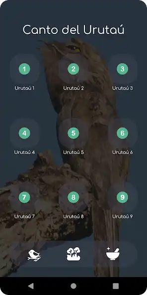 Play Canto del Nictibio Urutaú and enjoy Canto del Nictibio Urutaú with UptoPlay Play Canto del Nictibio Urutaú and enjoy Canto del Nictibio Urutaú with UptoPlay
