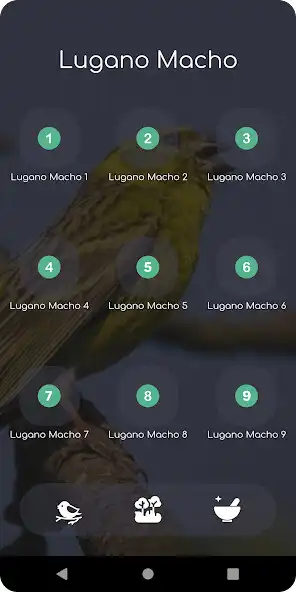Play Canto De Lugano Macho and enjoy Canto De Lugano Macho with UptoPlay Play Canto De Lugano Macho and enjoy Canto De Lugano Macho with UptoPlay