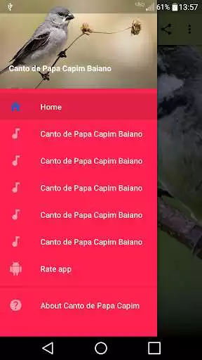 Play Canto de Papa Capim