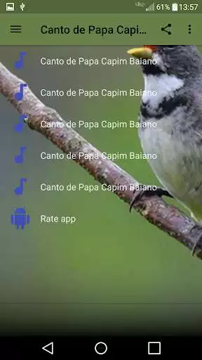 Play Canto de Papa Capim