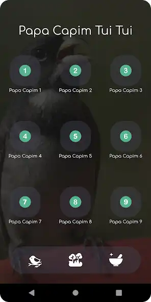 Play Canto De Papa Capim Tui Tui HD and enjoy Canto De Papa Capim Tui Tui HD with UptoPlay Play Canto De Papa Capim Tui Tui HD and enjoy Canto De Papa Capim Tui Tui HD with UptoPlay