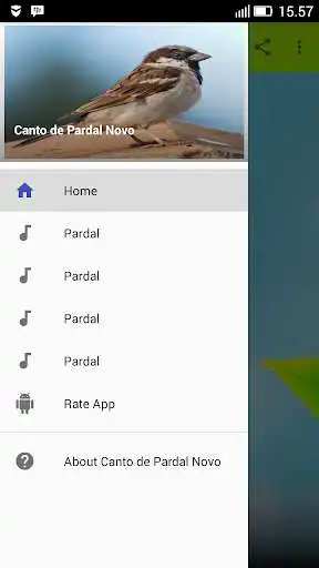 Play APK Canto de Pardal Novo  and enjoy Canto de Pardal Novo with UptoPlay 