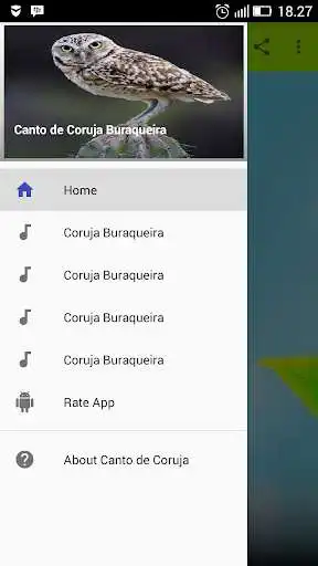 Play APK Canto de Passaro Coruja Buraqueira  and enjoy Canto de Passaro Coruja Buraqueira with UptoPlay 