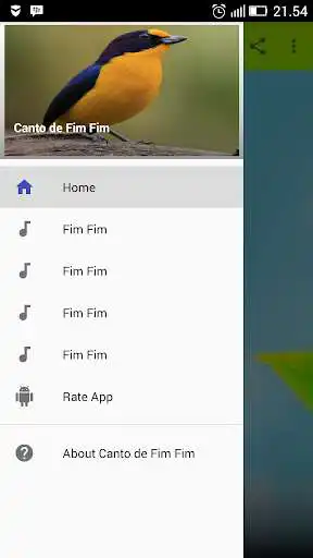 Play APK Canto de Passaro Fim Fim  and enjoy Canto de Passaro Fim Fim with UptoPlay 