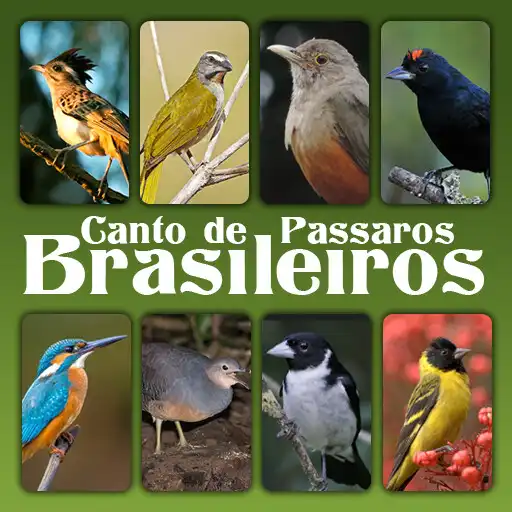 Play Canto de Passaros Brasileiros APK Play Canto de Passaros Brasileiros APK