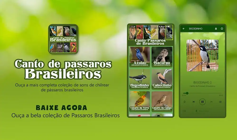 Play Canto de Passaros Brasileiros  and enjoy Canto de Passaros Brasileiros with UptoPlay
