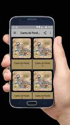 Play Canto de Perdiz Offline