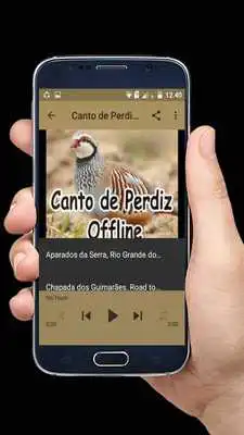 Play Canto de Perdiz Offline