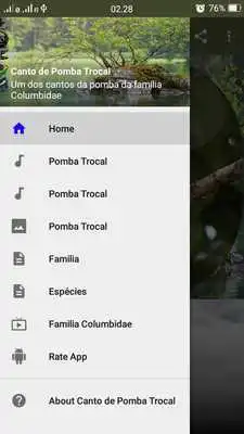Play Canto de Pomba Trocal