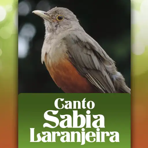 Play Canto de Sabia Laranjeira APK Play Canto de Sabia Laranjeira APK
