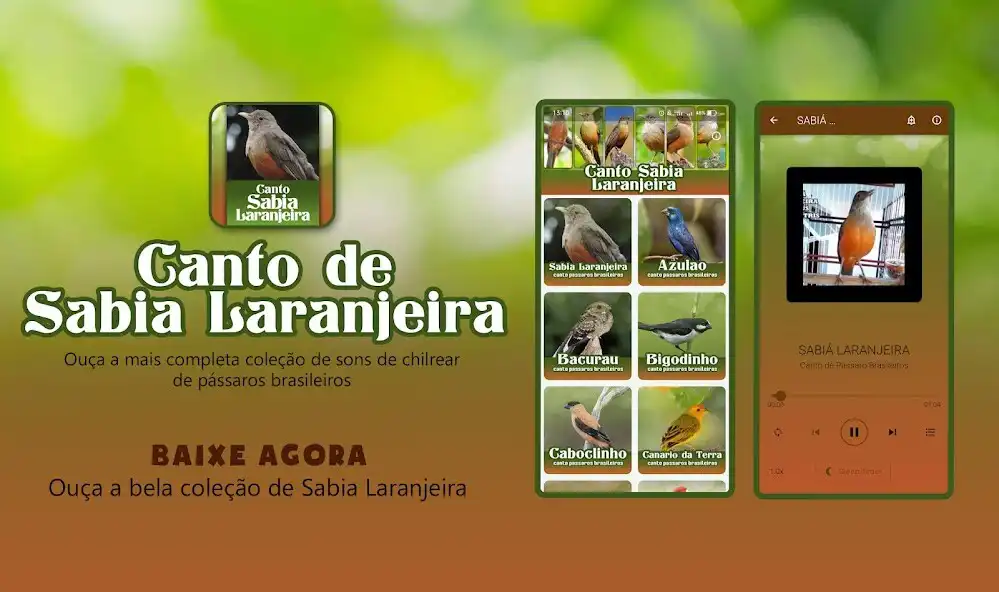 Play Canto de Sabia Laranjeira  and enjoy Canto de Sabia Laranjeira with UptoPlay