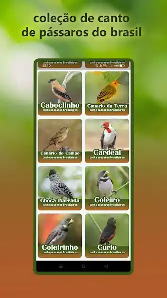 Play Canto de Sabia Laranjeira as an online game Canto de Sabia Laranjeira with UptoPlay