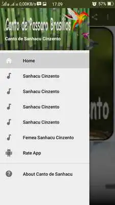 Play Canto de Sanhacu Cinzento