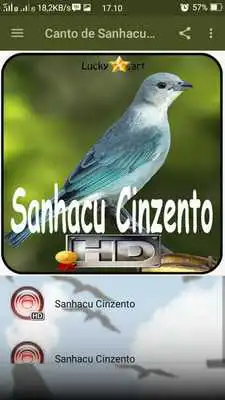 Play Canto de Sanhacu Cinzento
