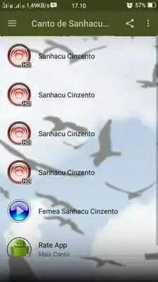 Play Canto de Sanhacu Cinzento