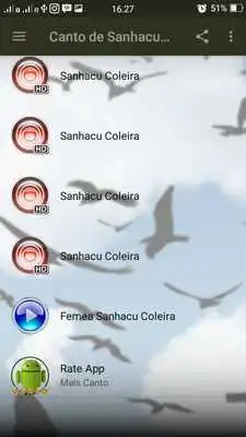 Play Canto de Sanhacu Coleira